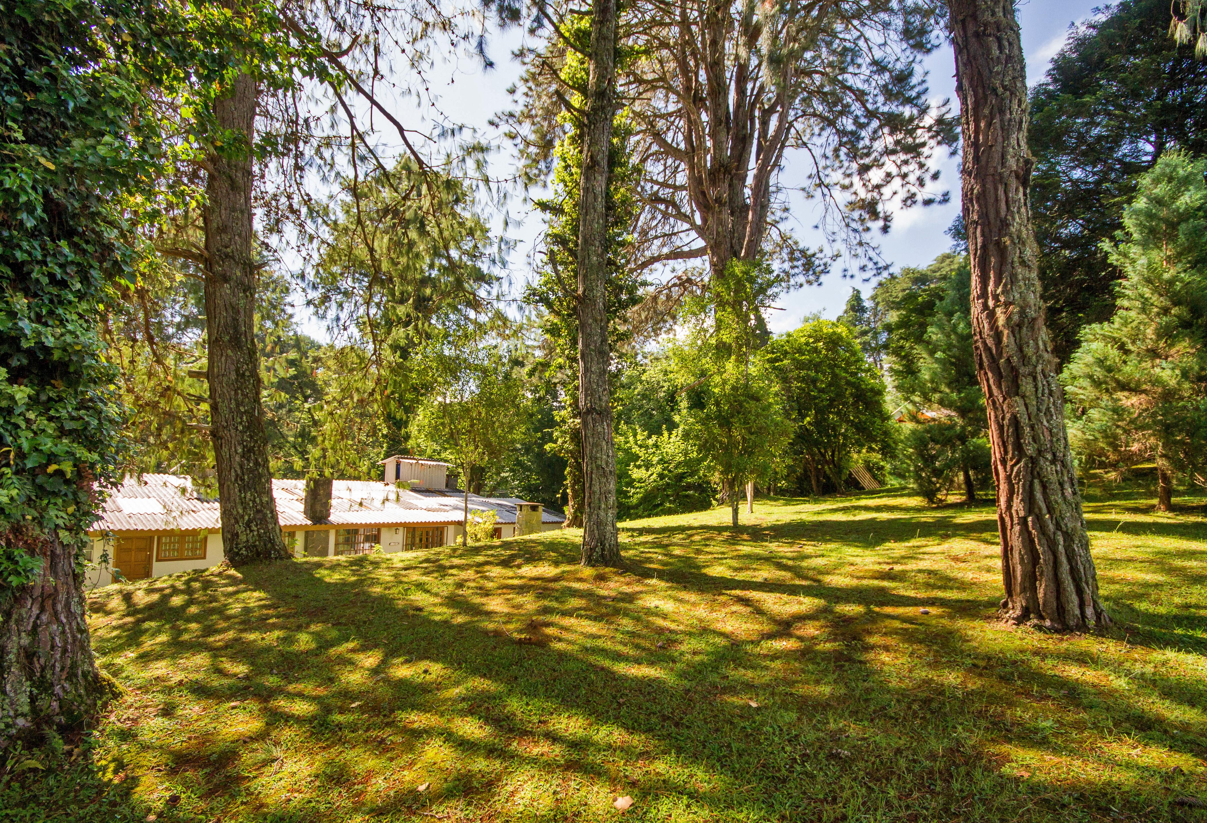 Villa Vintage Campos - Piscina E Opcoes De Suites Com Hidromassagem Campos do Jordao Bagian luar foto